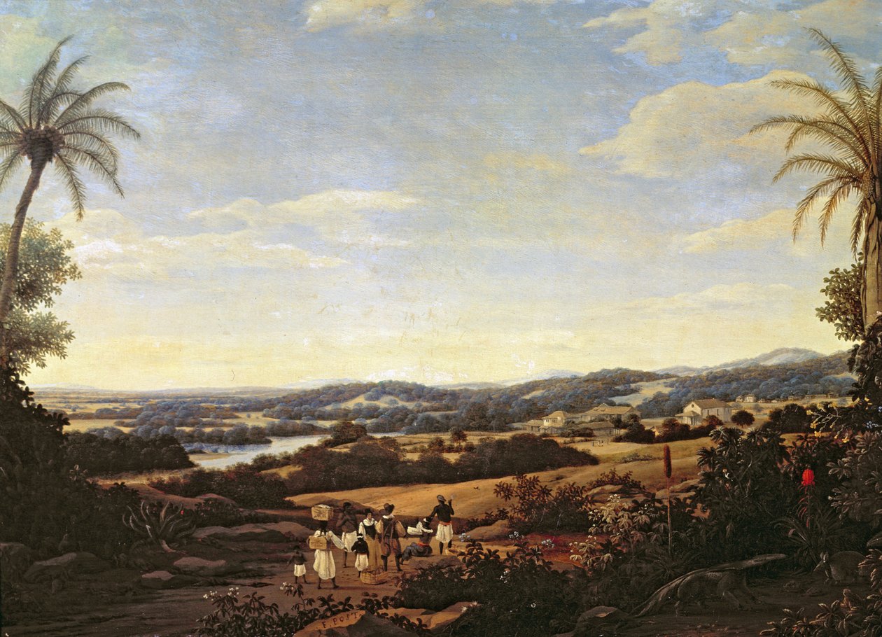 プランテーションのあるブラジルの風景